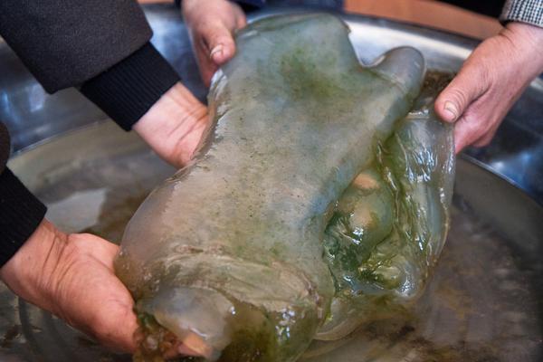 哪一年开始的新闻描述